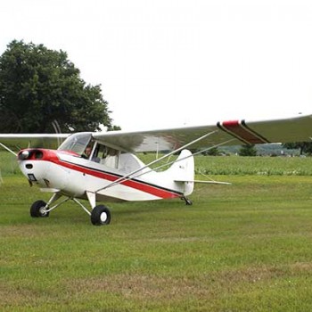 Champion 7EC Grass Field Take-Off
