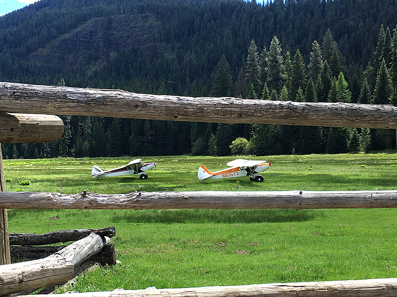 Piper Cubs at Reds Wallowa Ranch