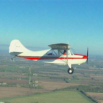Champion 7EC in flight